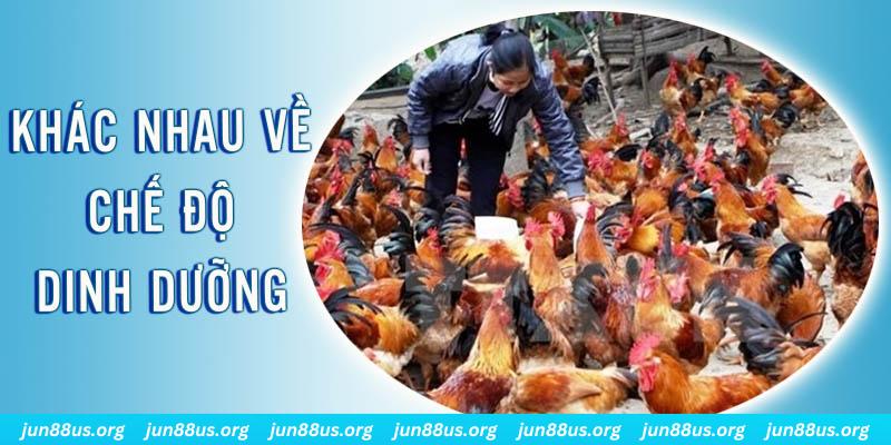 hi 88 xổ số miền nam thứ năm hàng tuần