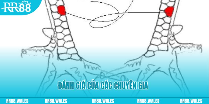 hi 88 V8 Game Bài 3d