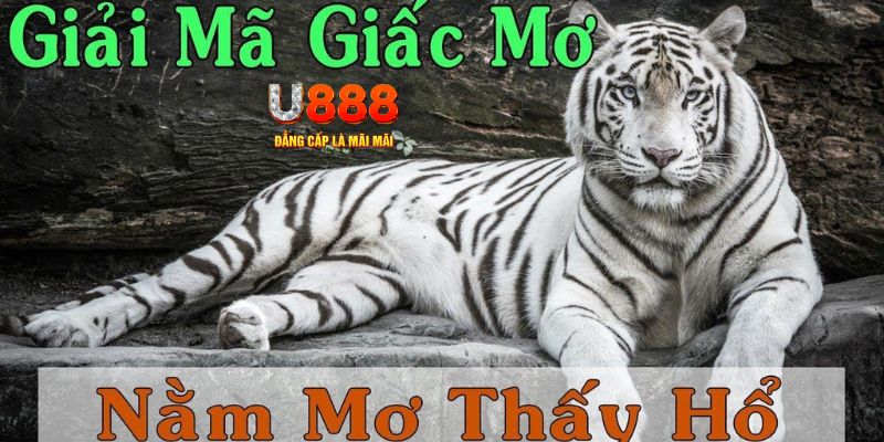 hi 88 qq88 nổ hũ bắn cá