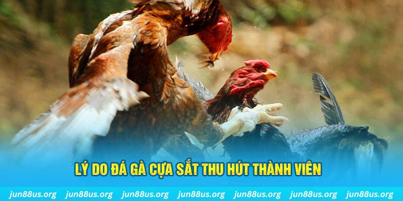 hi 88 chiếm slot là gì