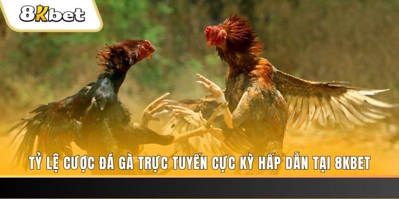 hi 88 baccarat online bịp như thế nào