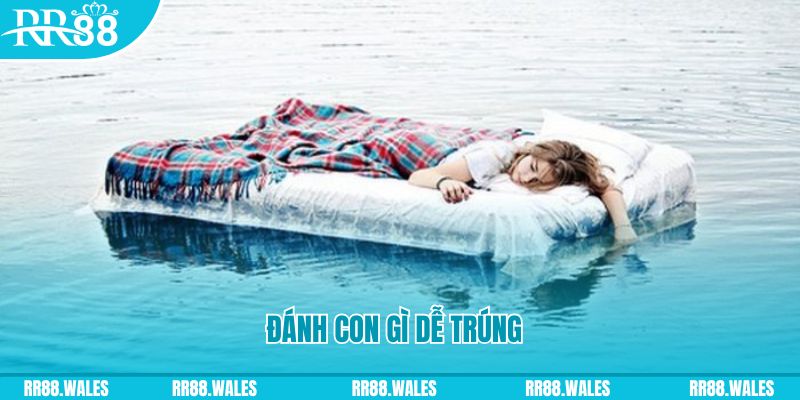 hi 88 đăng nhập liêng hàng đầu