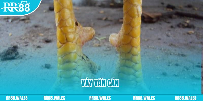 hi 88 đăng nhập nổ hũ hôm nay