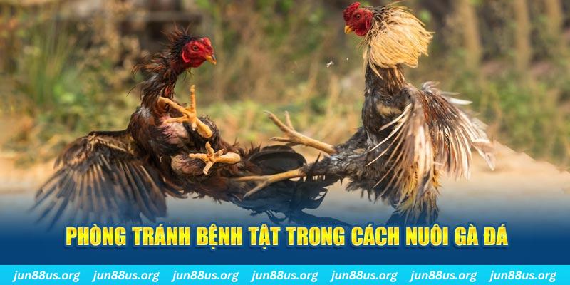 hi 88 đăng nhập phỏm online