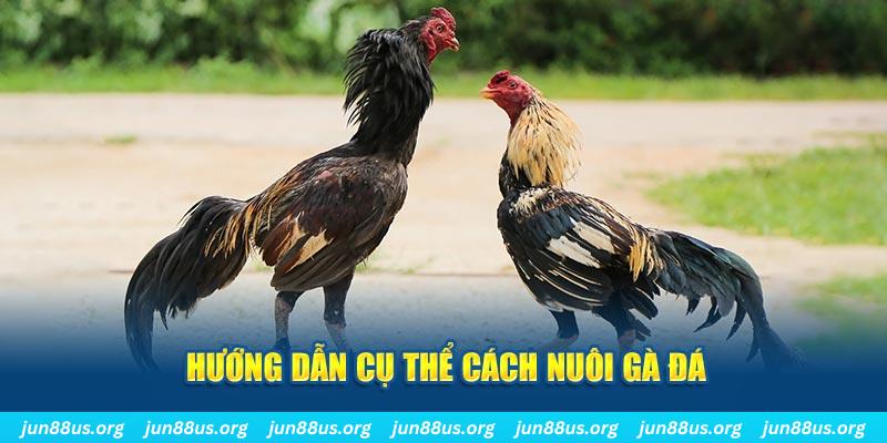 hi 88 đăng nhập sòng bạc số 1