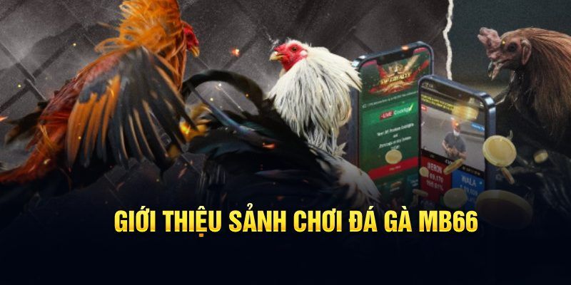 hi 88 đăng nhập poker hôm nay