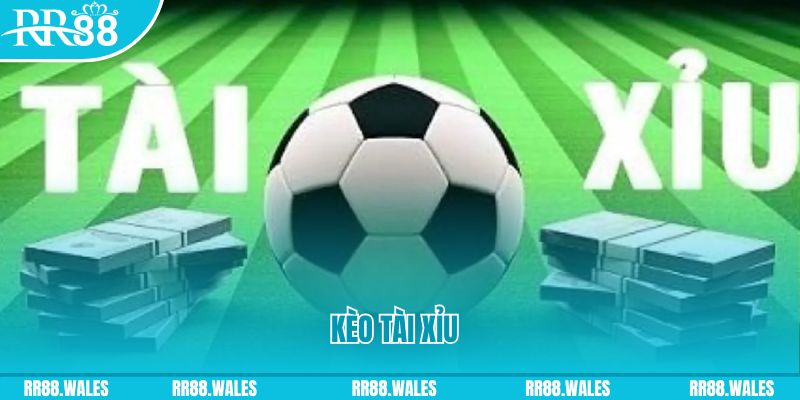 hi 88 gà chọi hoà phong